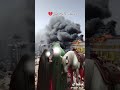  ١٩ أبريل ٢٠٢٥  