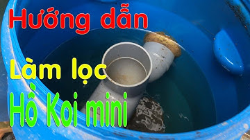 Hướng Dẫn Làm Lọc Hồ Koi mini ! Hồ Trong Nhà 😍😍😍 filter pond koi fish