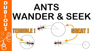 Ants Wander & Seek Behavior