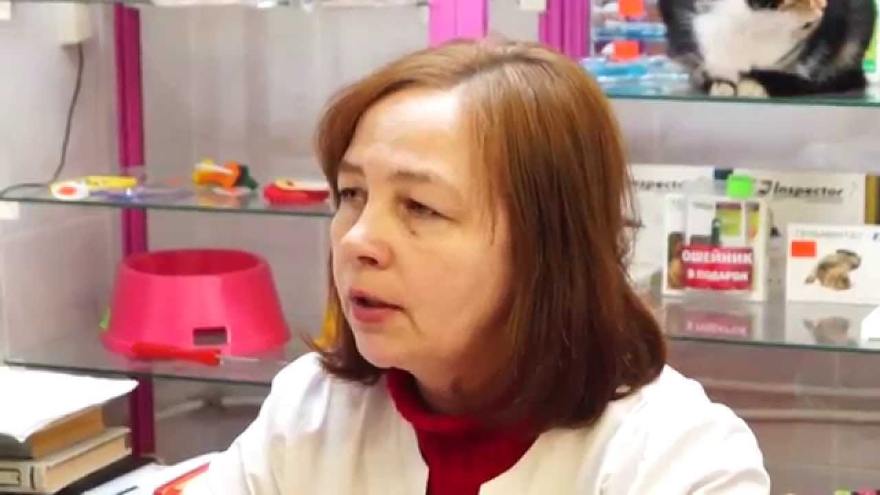 Какие прививки делают собакам.