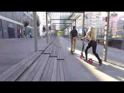 Street Surfing | Road Scooters
