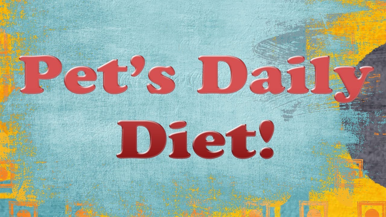 My Gerbil's Daily Diet! (Aleia)