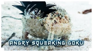 Angry Squeaking Goku