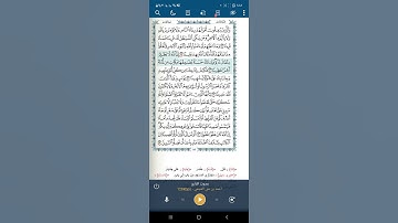 سورة النساء اية(٤٠)
