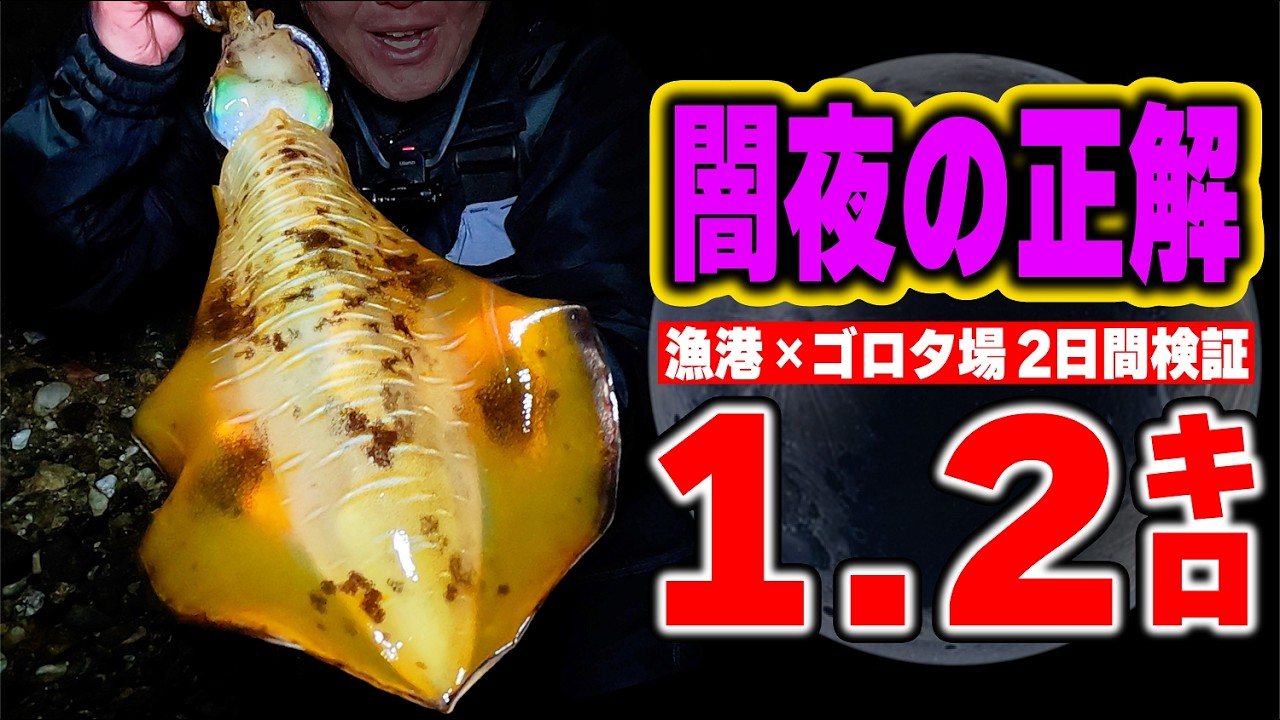 【新月エギング】闇夜で1.2kg｜2日間検証で見えた“唯一の正解”