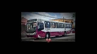 AT-00022 #busologia #belémdopará