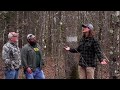 SCOUTING PINE THICKETS FOR BUCKS - Mississippi Scouting Workshop Part 2