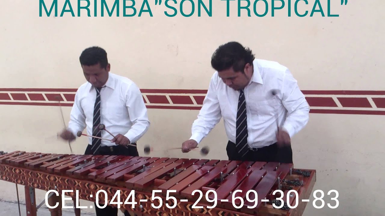 MARIMBA PARA EVENTOS AQUI ☎5529693083 YouTube