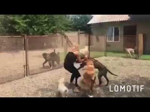 შეხვედრაც ესეთი უნდა