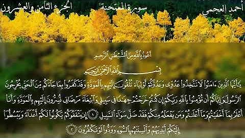 سورة الممتحنة/ مكتوبة أحمد العجمي