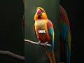 Laughing Trails: Oddball Animals and Astonishing Facts