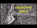 Collecting Deer Skulls and MOAR! | Aquachigger