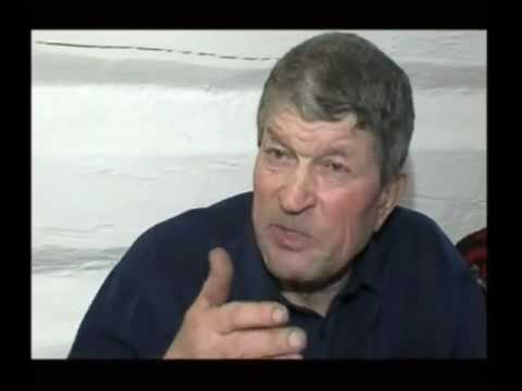 Потомок виста 5