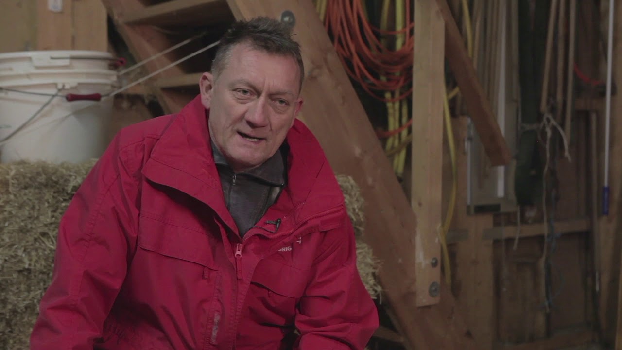 Das Walliser Schwarznasenschaf aus Sicht des Züchters