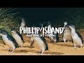 Phillip Island, Australia: More Than Just Penguins | The Travel Intern