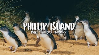 Phillip Island, Australia: More Than Just Penguins | The Travel Intern