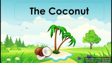 SHORT STORY - EXERCISE NUMBER 9 -THE COCONUT                #reading #exercise #primary #kto12