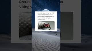 1200 Yıllık Viking Mezarından Çıkan Şok Edi̇ci̇ İslam Sırrı