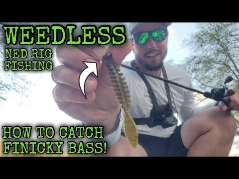 How To CATCH Finicky SPAWNING Bass! #bassfishing #nedrig