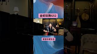 金蛇狂舞二胡版 #二胡#音乐#民族乐器#广东音乐#创作灵感@梅村清韵蔡子坤二胡(厂家直销)
