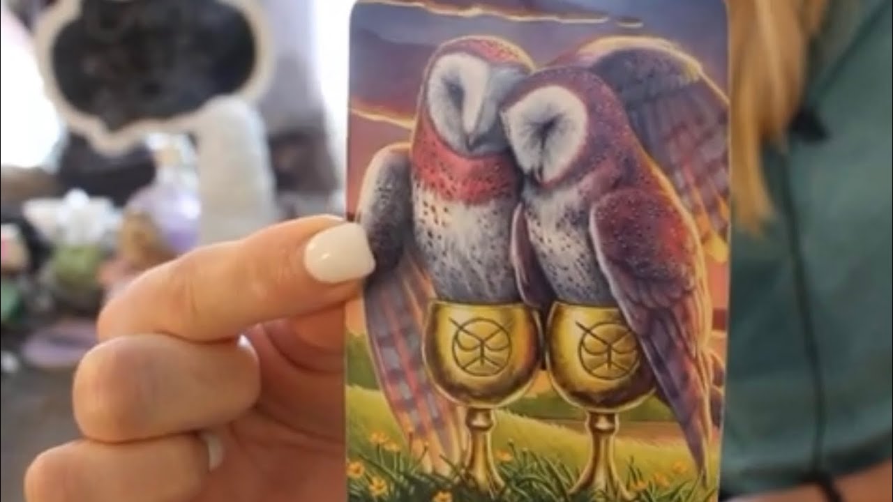 CANCER: “OMG! THIS MAY BE THE LOVE OF YOUR LIFE” 💗🤯 MAY 2023 TAROT LOVE MONTHLY