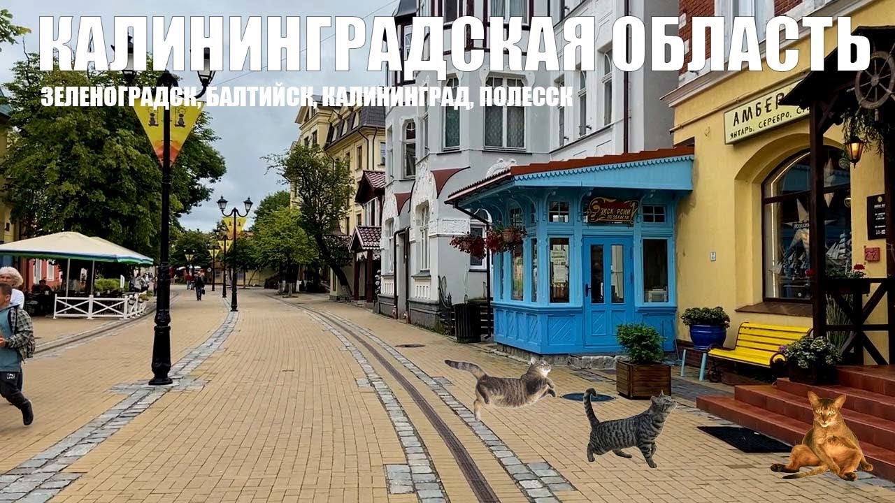 Зеленоградск март 2024