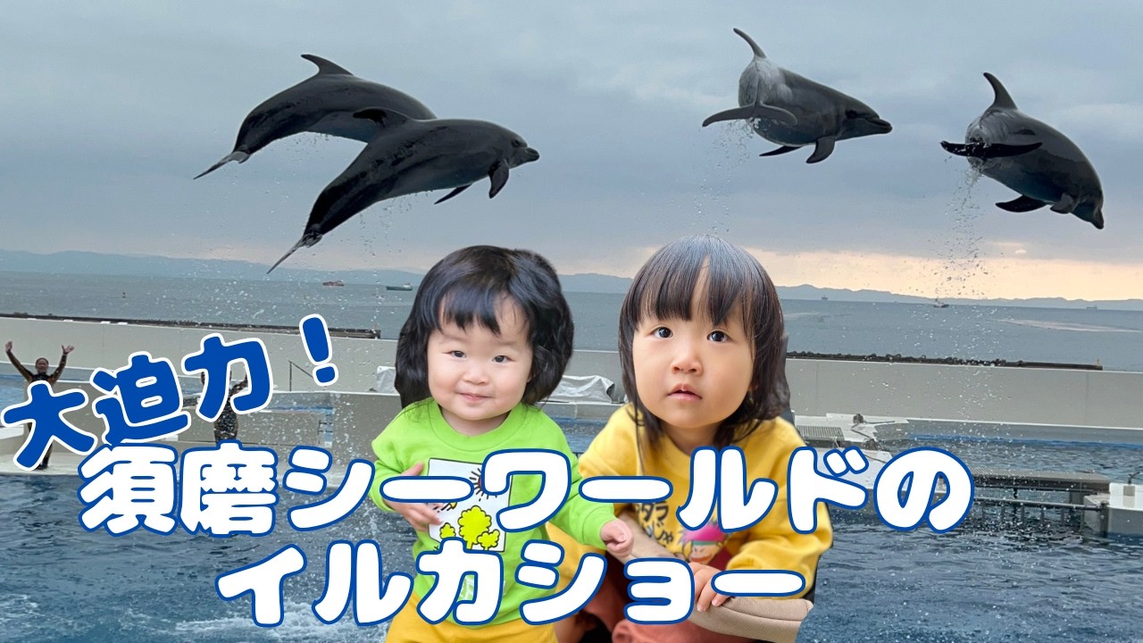 【大迫力！】須磨シーワールドのイルカショー｜オルカショー＆年子姉妹の成長ストーリー