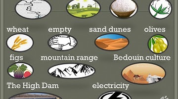 Unit 7 L 4 to L 8 - Connect Plus - Grade 2 - Second term