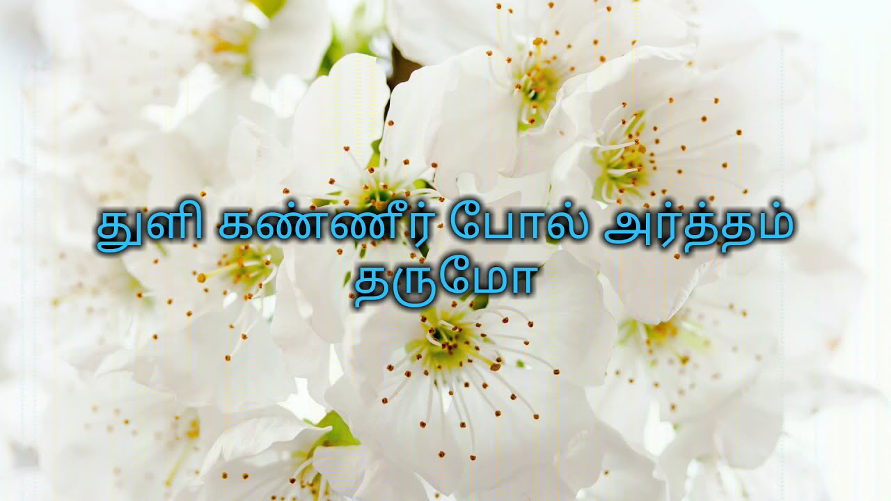 Vellai pookkal lyrics...# Kannathil muthamittal..