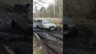 TLC 80