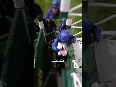 الحصان يفوز بالسباق دون راكب