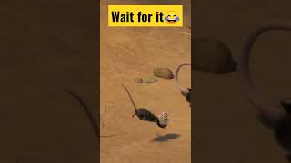 ice age X brothers and sister X funny seen🤣 X #shorts #trending