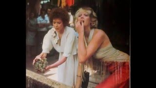 015《 卒業試験 》【映画パンフレット・フェスティバル】(festival)