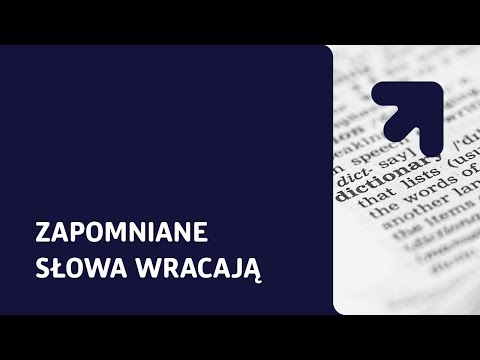 Wideo: Projekt DEKADA DZIECIŃSTWA - zagrożona rodzina i dzieciństwo