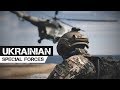 Ukrainian SPECIAL FORCES "Life for Homeland"