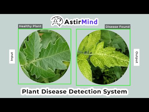 Plant Disease Detection System | AstirMind