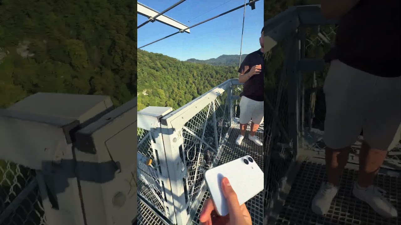 Great height cat mode two🙀🙀🙀