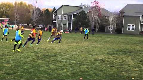 New Castle United Fall 2014 U-12 Soccer team Undef...