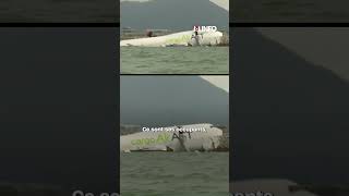 Un Avion - Cargo Boeing S’abîme En Mer Après Une Sortie De Piste À Hong Kong