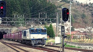 JR貨物EF64 1036号機(大宮更新色) 中央西線貨物列車81ﾚ 2019.4.12 撮影