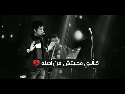 حالات واتس محدش شالني وانا واقع