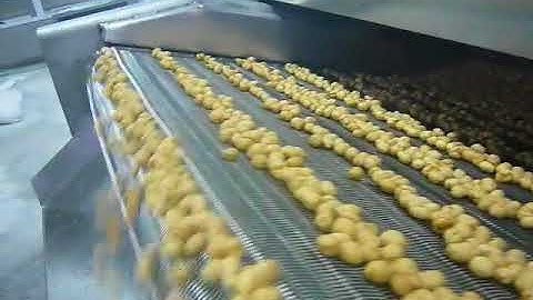 Continuous Peanut Frying Machine groundnut fryer |Green Peas Frying Machine 008613731157080