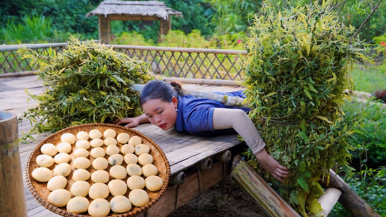 Harvesting Sesame Seeds, Process them into Sesame Cakes and sell them at the market.