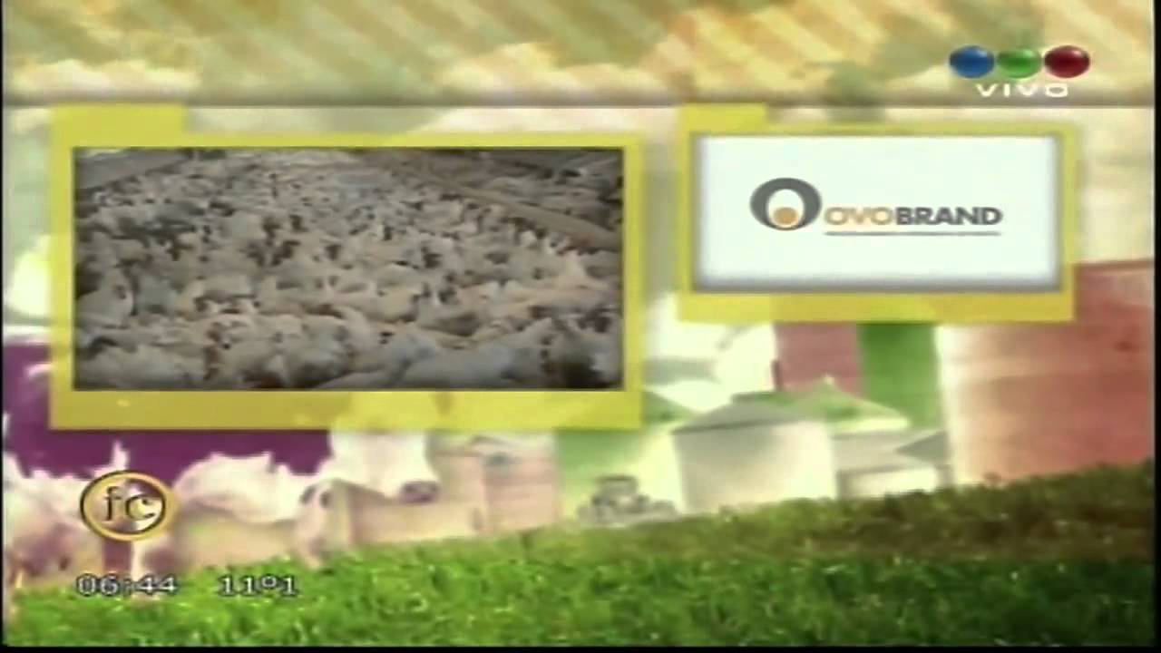 Quién es quién: Ovobrand