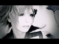 the Raid. 「Ray」 MV FULL