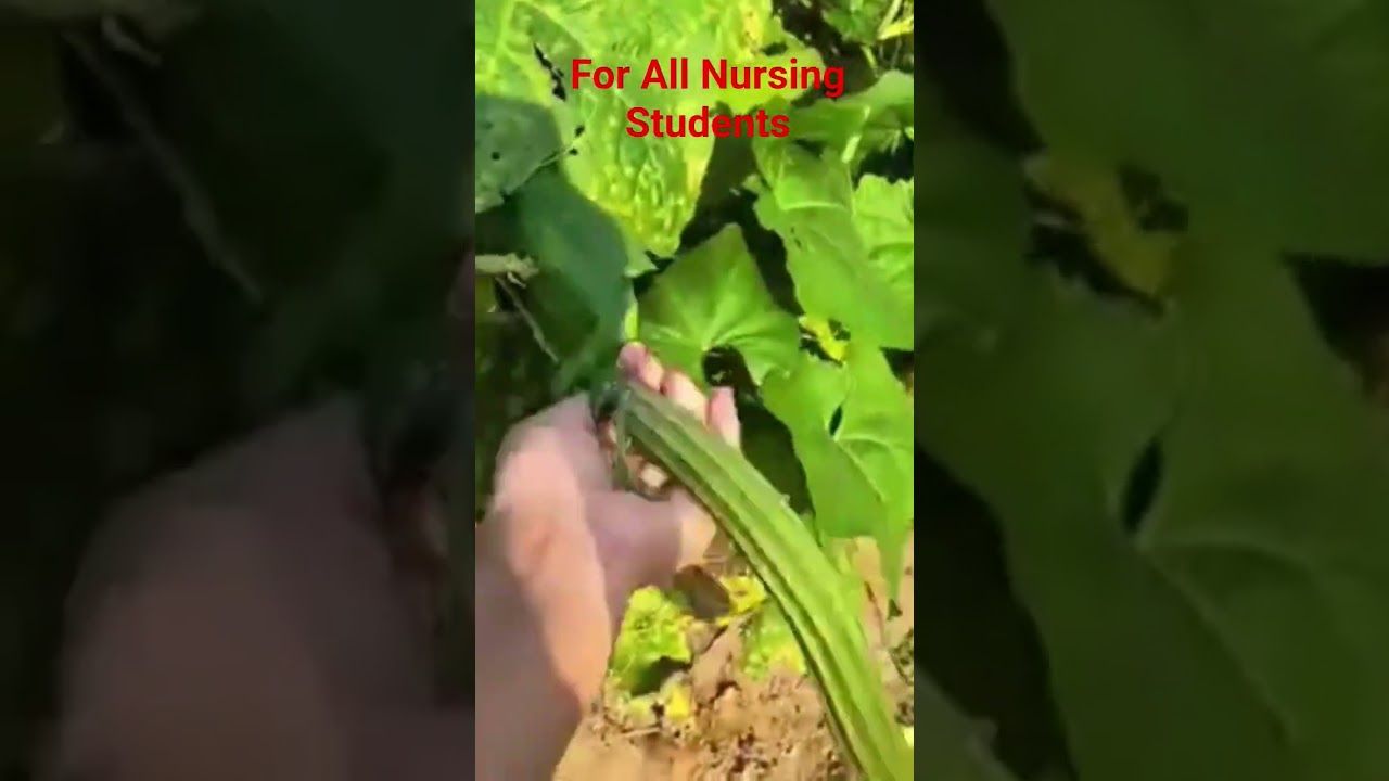 5272 ANM Exam Motivational Video