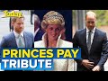 William, Harry reunite with emotional tribute to mother Diana | Today Show Australia