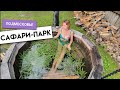 САФАРИ ПАРК В ПОДМОСКОВЬЕ. Где отдыхают москвичи?