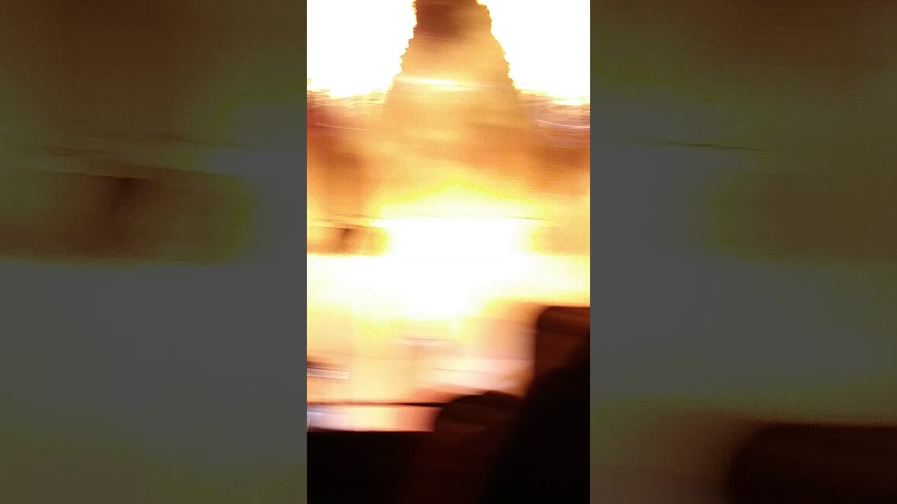 Miss Piggy at the Cyclone's game