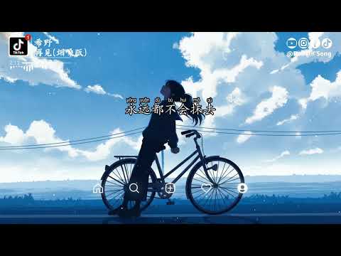 希野 - 再见 (烟嗓版)『我怕我没有机会，跟你说一声再见，因为也许，就再也见不到你』【动态歌词MV】